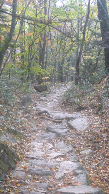 이미지를 클릭하시면 원본크기로 보실수 있습니다.
