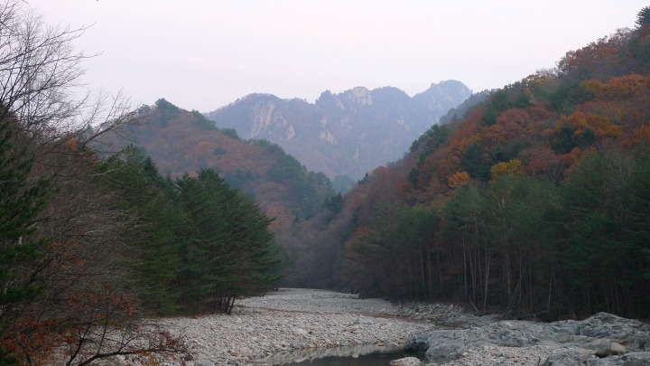 window.open(this.src) 이미지를 클릭하시면 원본크기로 보실수 있습니다.