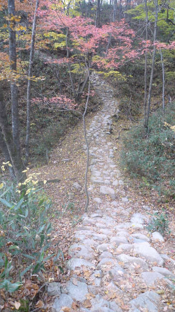 이미지를 클릭하시면 원본크기로 보실수 있습니다.