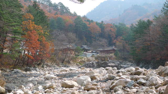 이미지를 클릭하시면 원본크기로 보실수 있습니다.
