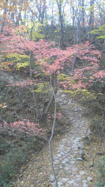이미지를 클릭하시면 원본크기로 보실수 있습니다.