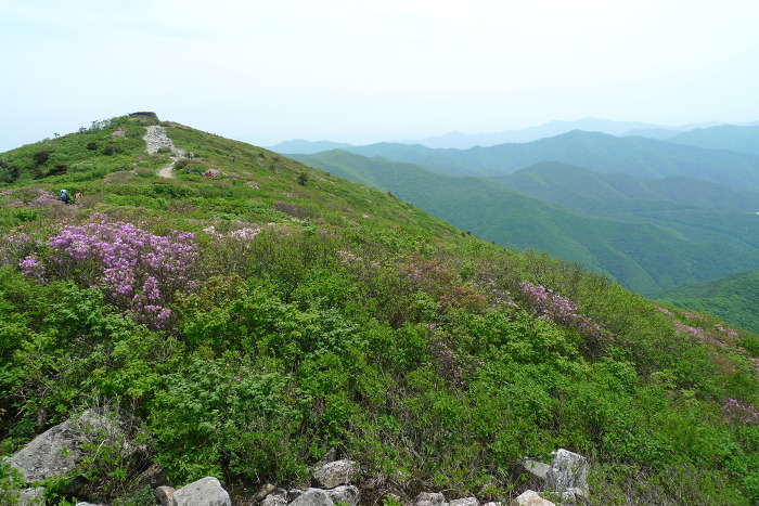 이미지를 클릭하시면 원본크기로 보실수 있습니다.
