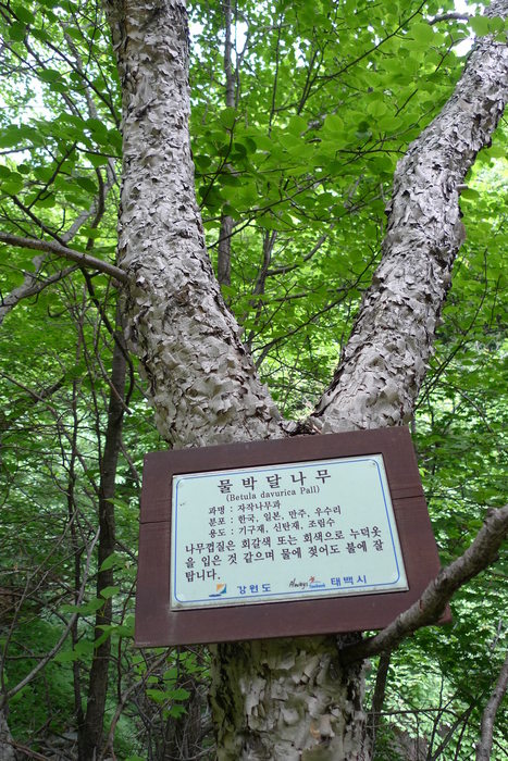 이미지를 클릭하시면 원본크기로 보실수 있습니다.