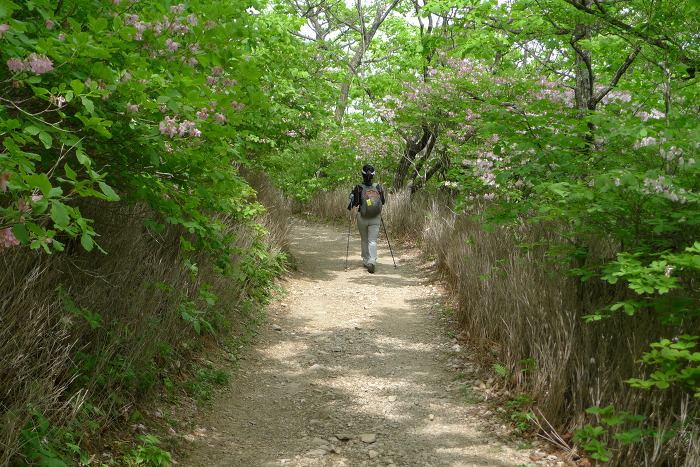 이미지를 클릭하시면 원본크기로 보실수 있습니다.