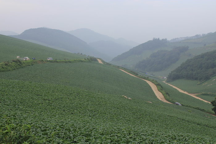 이미지를 클릭하시면 원본크기로 보실수 있습니다.