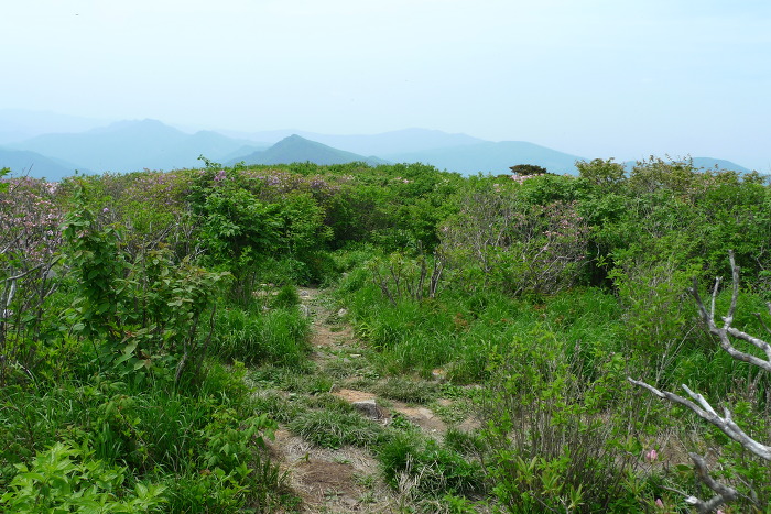 이미지를 클릭하시면 원본크기로 보실수 있습니다.