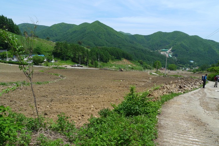 이미지를 클릭하시면 원본크기로 보실수 있습니다.
