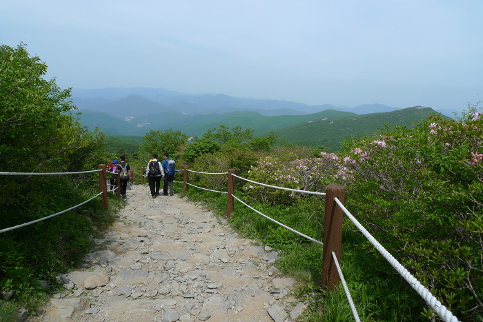 이미지를 클릭하시면 원본크기로 보실수 있습니다.