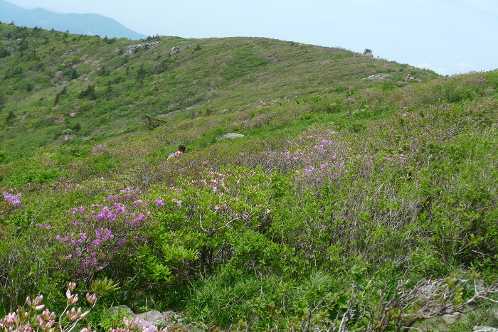 이미지를 클릭하시면 원본크기로 보실수 있습니다.