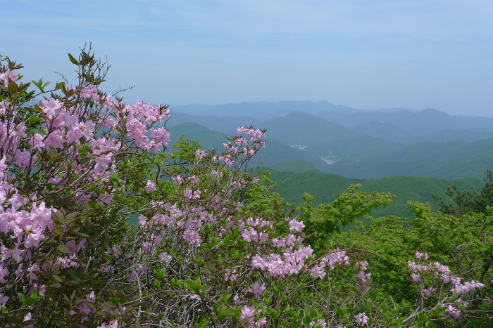 이미지를 클릭하시면 원본크기로 보실수 있습니다.