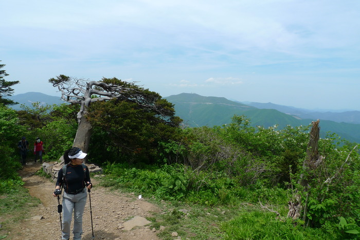 이미지를 클릭하시면 원본크기로 보실수 있습니다.