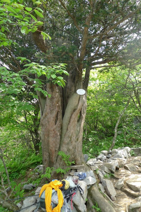 이미지를 클릭하시면 원본크기로 보실수 있습니다.