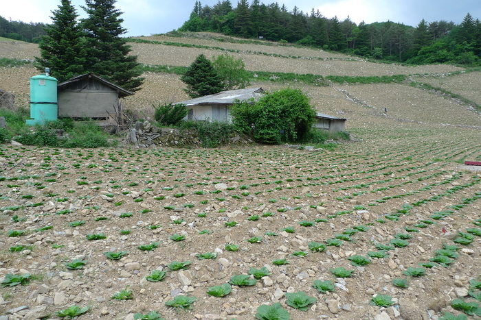 이미지를 클릭하시면 원본크기로 보실수 있습니다.