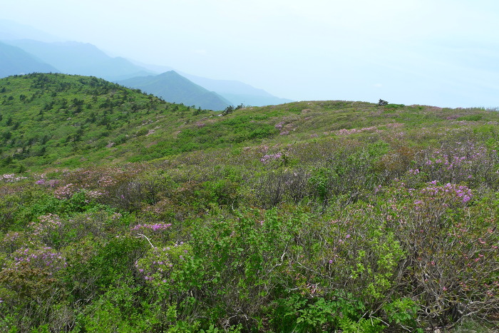이미지를 클릭하시면 원본크기로 보실수 있습니다.