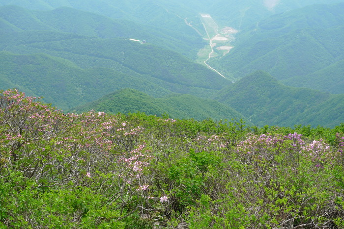 이미지를 클릭하시면 원본크기로 보실수 있습니다.
