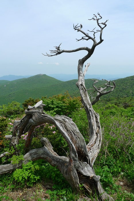 이미지를 클릭하시면 원본크기로 보실수 있습니다.