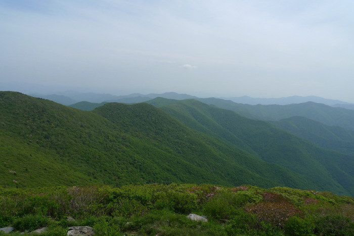 이미지를 클릭하시면 원본크기로 보실수 있습니다.