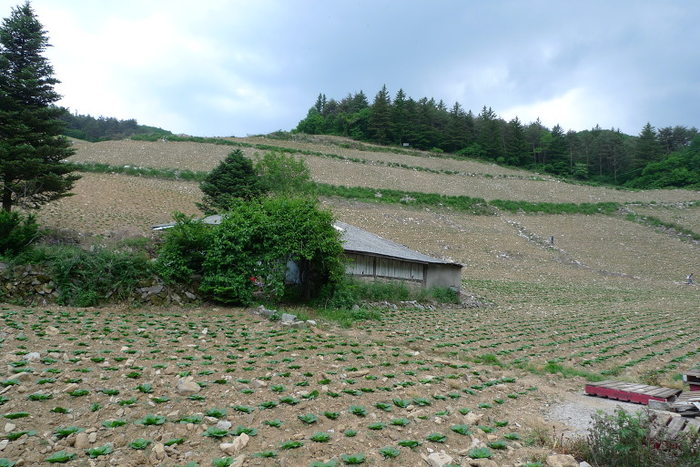 이미지를 클릭하시면 원본크기로 보실수 있습니다.