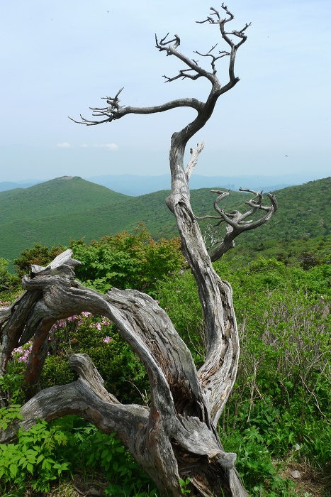 이미지를 클릭하시면 원본크기로 보실수 있습니다.