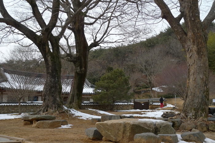 이미지를 클릭하시면 원본크기로 보실수 있습니다.