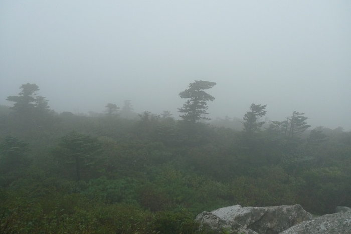 이미지를 클릭하시면 원본크기로 보실수 있습니다.