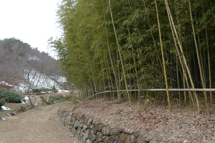 이미지를 클릭하시면 원본크기로 보실수 있습니다.