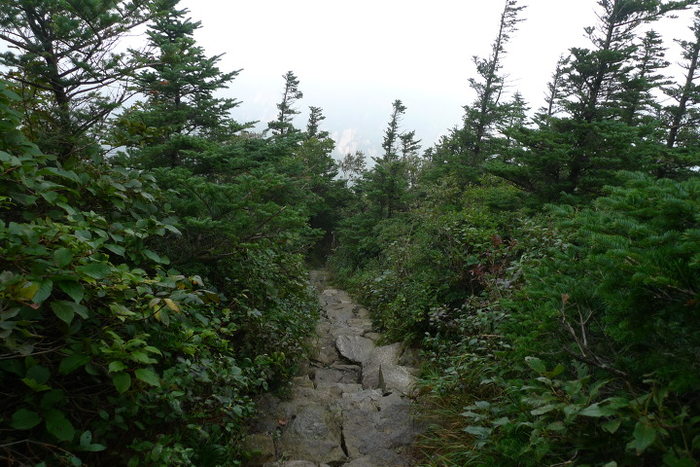 이미지를 클릭하시면 원본크기로 보실수 있습니다.