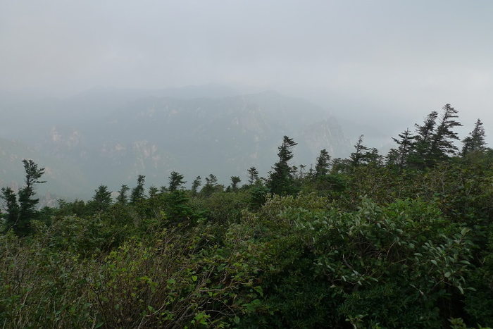 이미지를 클릭하시면 원본크기로 보실수 있습니다.