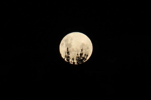 Super Moon (Photo: Leila Khan)