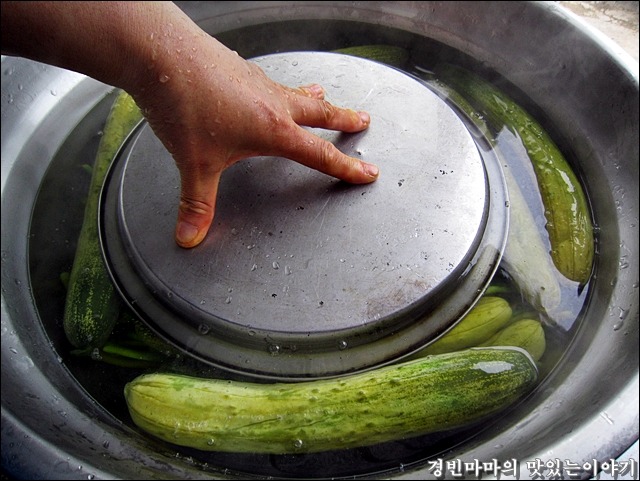 경빈마마 오랜만에 마늘쫑 오이지 갖고 왔어요~^^* ::: 82cook.com
