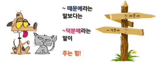 image_window(this) 덕분에.jpg