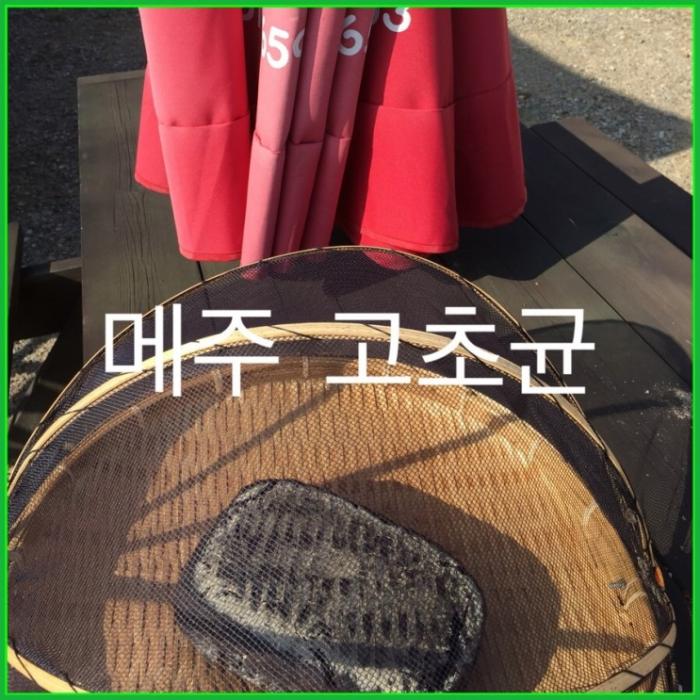 메주띄우기 고찰 끝, 고초균을 이해하니 쉬워요~ ::: 82cook.com