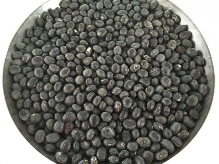 메주띄우기 고찰 끝, 고초균을 이해하니 쉬워요~ ::: 82cook.com