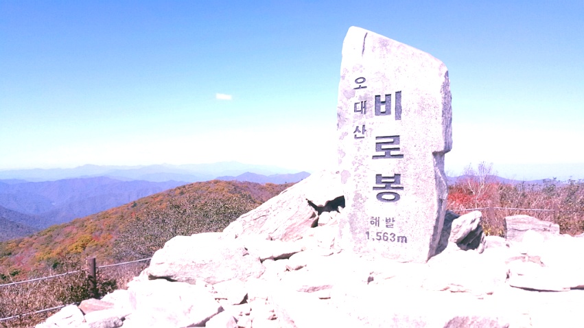 가을 오대산 ::: 82cook.com