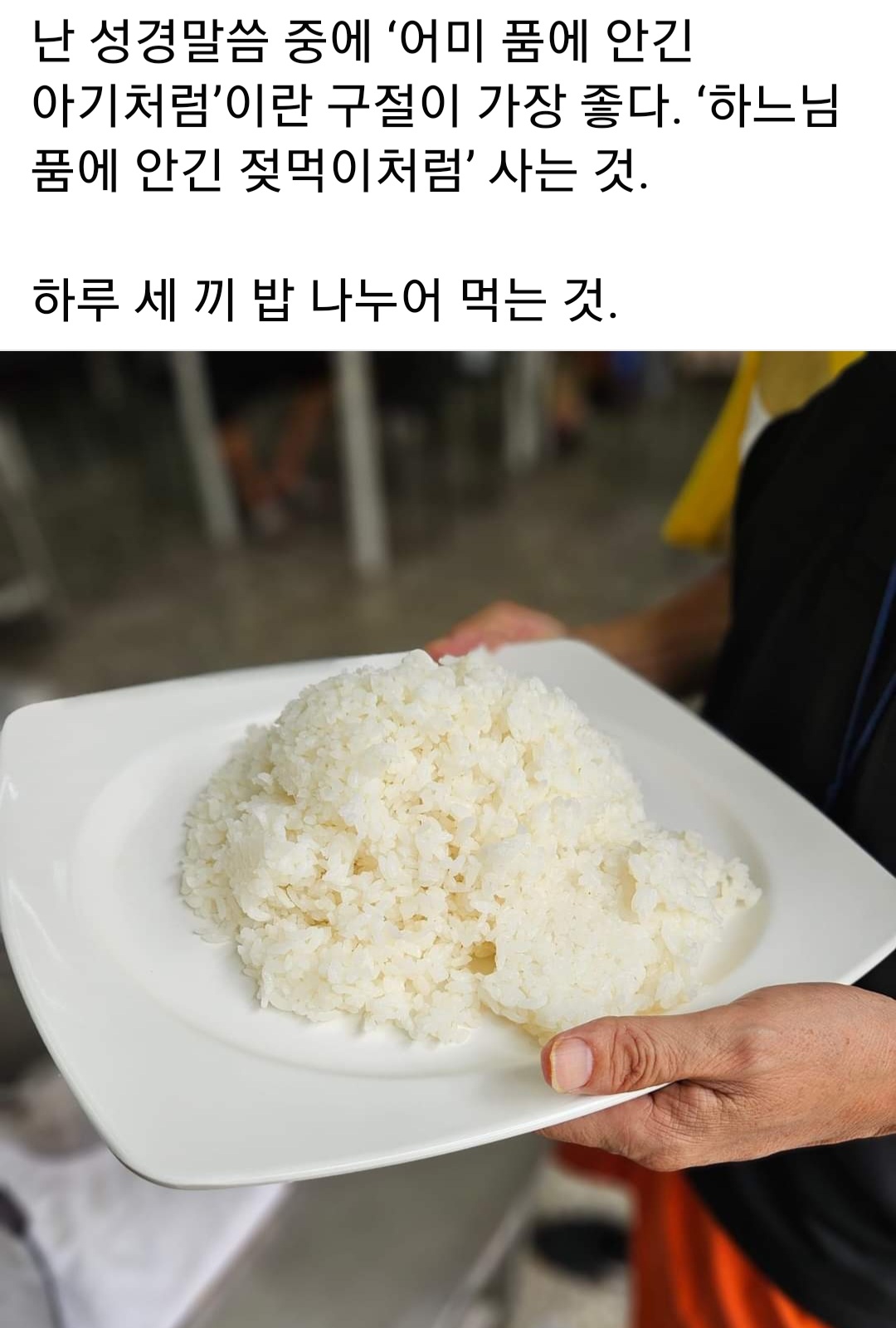 민들레 국수 만원의 행복 시작 ::: 82cook.com
