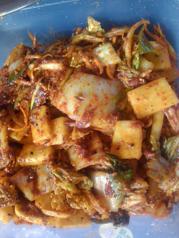 경빈마마님 김치 성공했어요^^ ::: 82cook.com