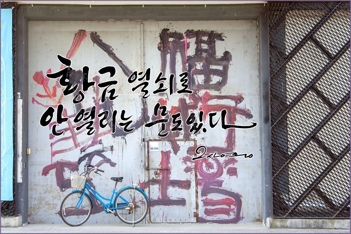 황금 열쇠로 ::: 82cook.com